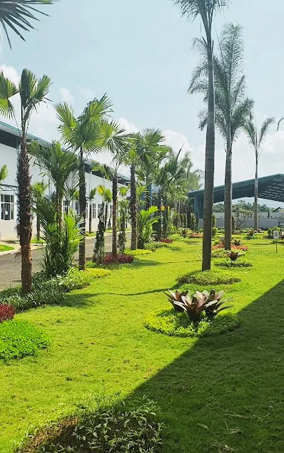 A garden path between lawns and palm trees on the PT Daux Cosmetic campus