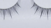 Close-up of a premium strip lash on its tray